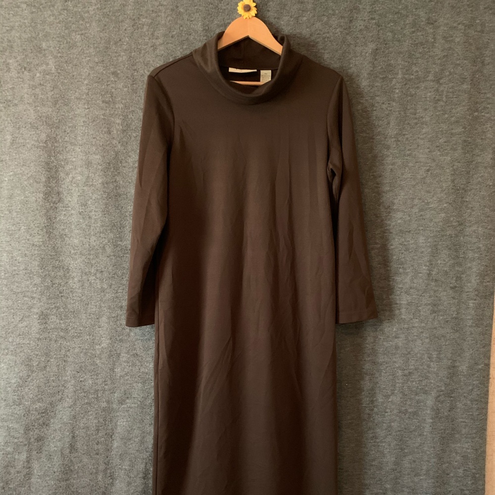 Womans Appleseed's brown dress